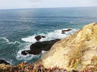 Ausflug zur Westküste