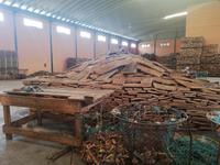 Besuch einer Korkeichenfabrik