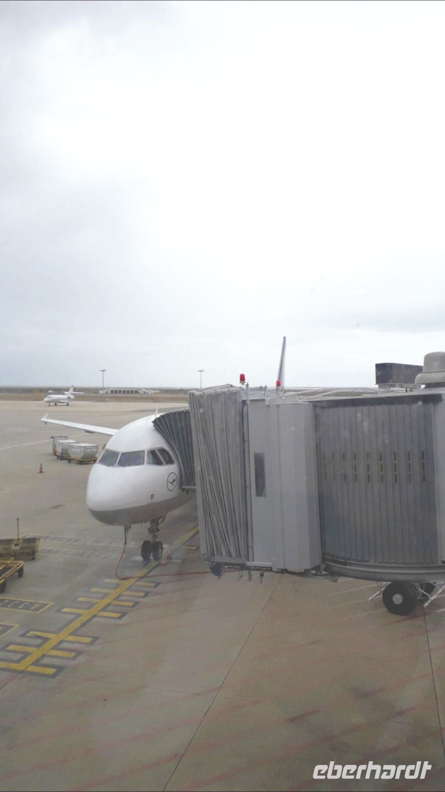 Dieser Flieger bringt uns nach Portugal