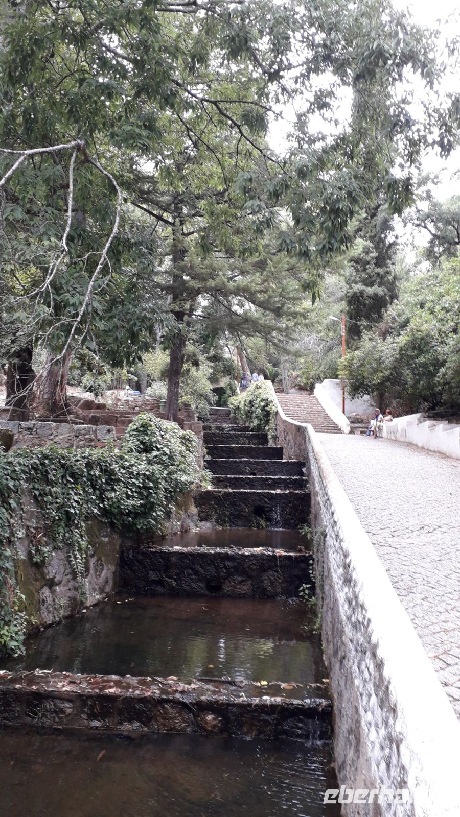 Auf dem Weg zur Quelle der Liebe