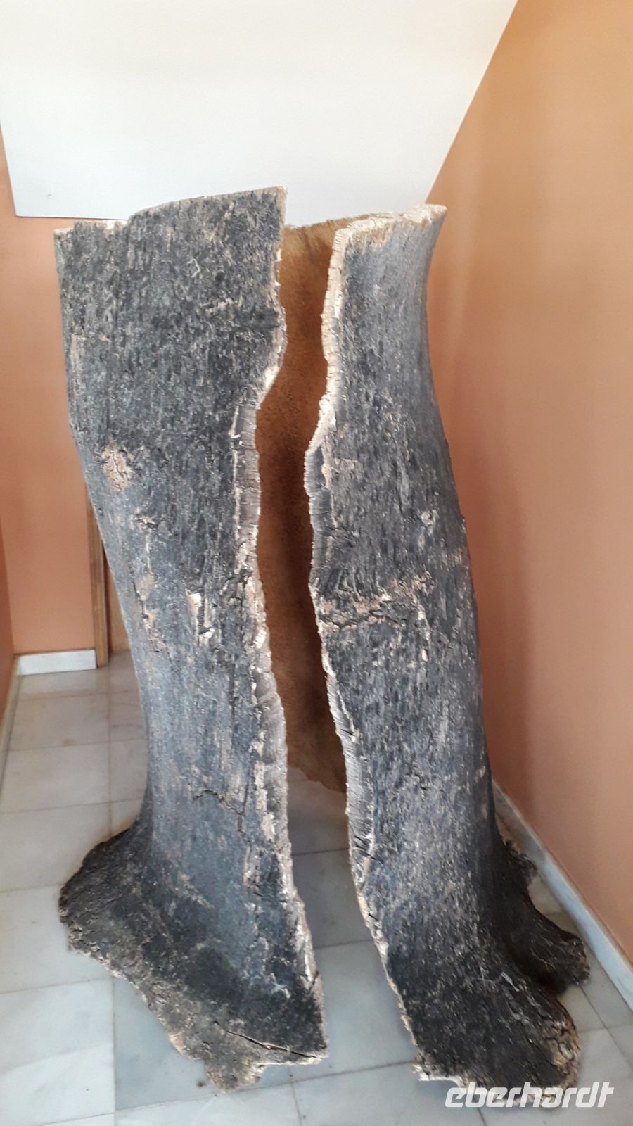 Die abgeschälte Rinde de Korkeiche