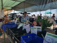 Olhao mit Markthalle am Bootshafen (9).jpg