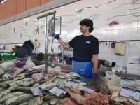 Olhao mit Markthalle am Bootshafen (11).jpg