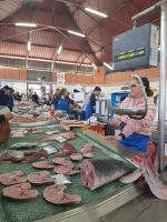 Olhao mit Markthalle am Bootshafen (12).jpg