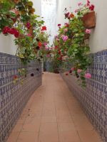 2. Die Altstadt von Silves (4).jpg