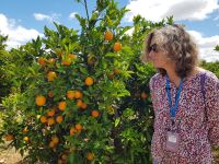 Besuch einer Orangenplantage (13).jpg