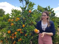 Besuch einer Orangenplantage (15).jpg