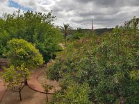 Burg in Silves - Blick auf den Innenhof (14).jpg