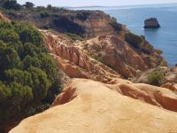 Praia da Marinha (5).jpg