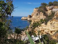 Praia da Marinha (11).jpg