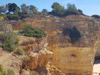 Praia da Marinha (13).jpg