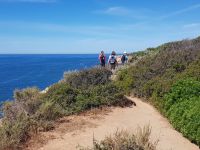 Praia da Marinha (18).jpg