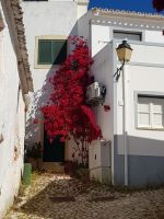 Berg-und Künstlerdorf Alte (8).jpg