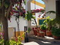 Berg-und Künstlerdorf Alte (14).jpg