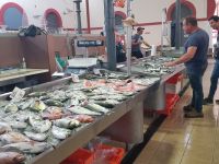 Loule - die grosse Markthalle(17).jpg