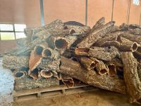 Korkeichenfabrik, Algarve