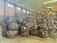 Korkeichenfabrik, Algarve