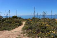 Fotostop bei den Felsformationen von Lagos