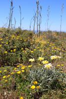 Fotostop an den Felsenformationen bei Lagos