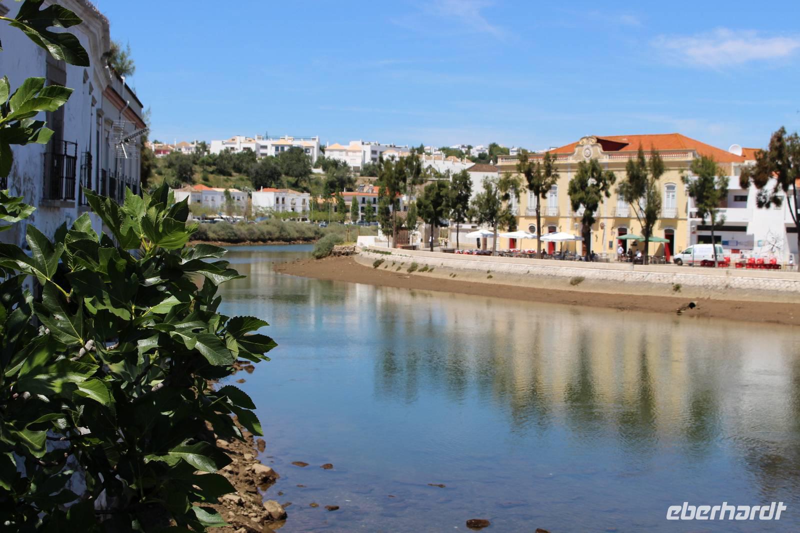 Tavira