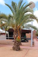 Burganlage in Silves