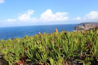 Cabo de São Vincente