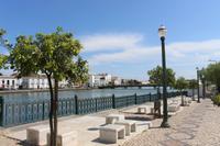 Tavira