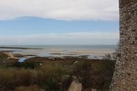 Naturschutzgebiet Ria Formosa 