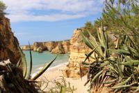 Ausblick während der Küstenwanderung