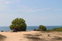Ausblick während der Küstenwanderung