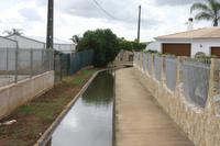 Auf der Orangenplantage_3