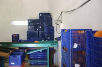 Auf der Orangenplantage_4