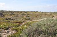 Cabo de Sao Vicente_13