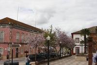 Silves_9