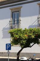 Faro