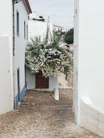 Gassen in Olhao