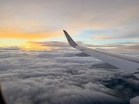 Heimflug