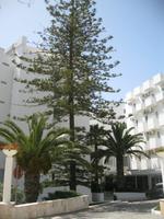 Holiday Inn