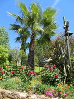 Parque da Mina
