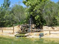 Parque da Mina