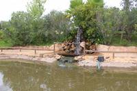 Parque da Mina