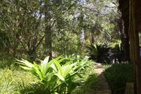Parque de Mina_2