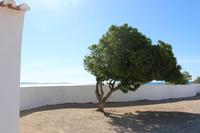 Senhora da Rocha