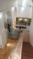 Silves, Burg, Ausstellung zum Luchs