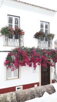 Silves