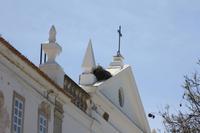 Storchennest_2