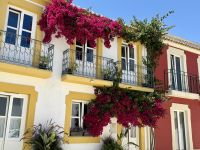 Tavira
