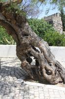 Tavira_17