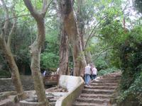 im Park