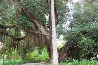 Besuch im Park Terra Nostra